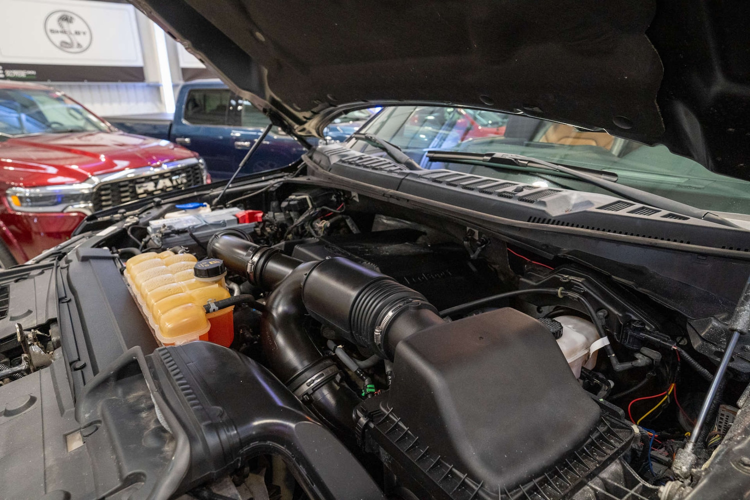 Used Ford F150 2017 for sale - 76531571: Photo 24