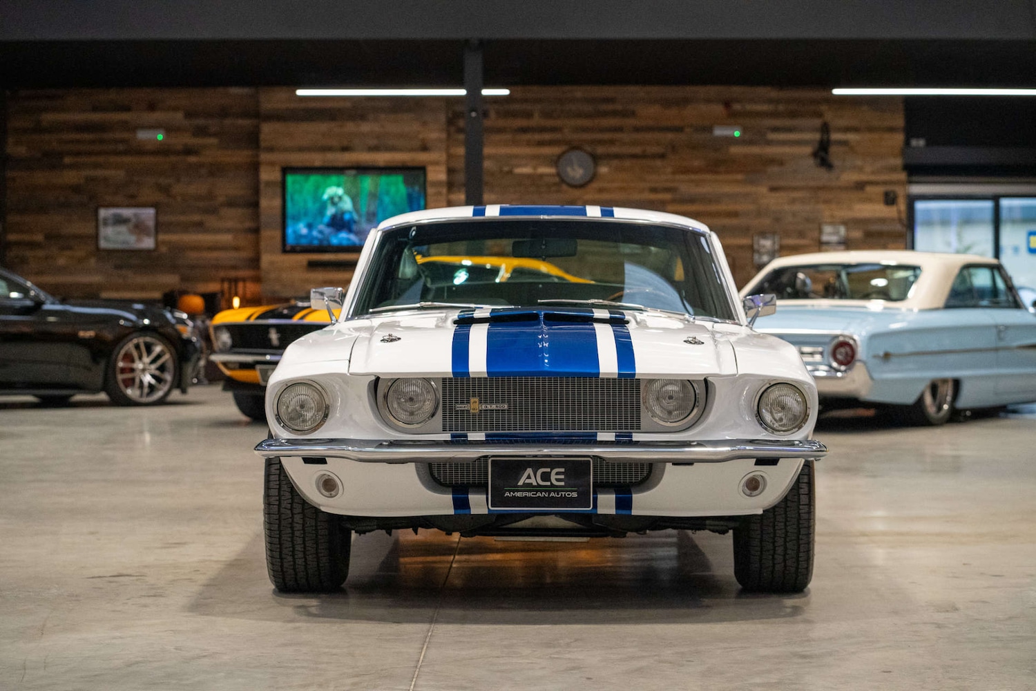 Used Ford Mustang 1967 for sale - 76304393: Photo 12