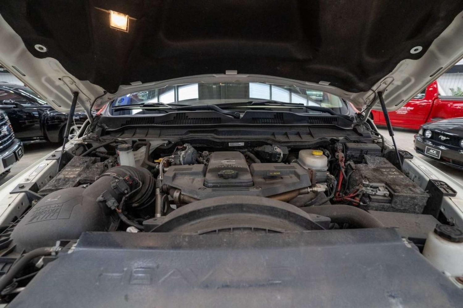 Used Dodge RAM 2017 for sale - 75551579: Photo 20