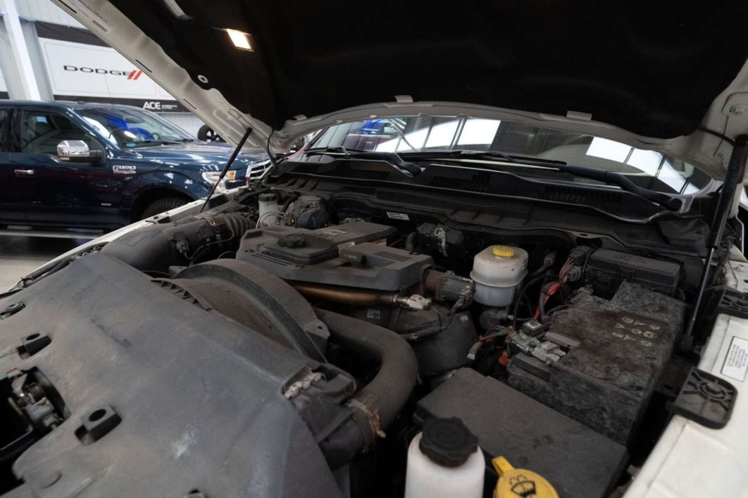 Used Dodge RAM 2017 for sale - 75551579: Photo 21