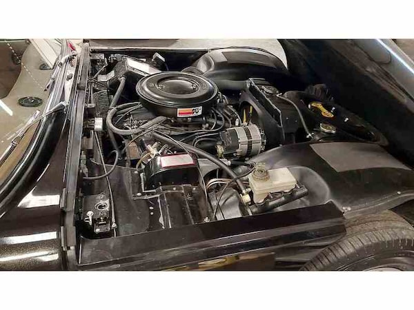 Used TVR Taimar 1980 for sale - 74826069: Photo 5