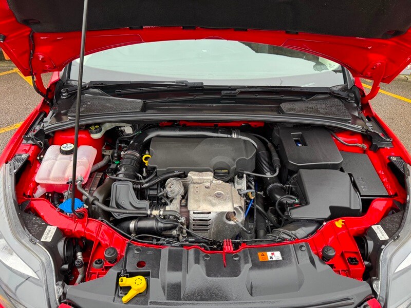 Used Ford Focus 2013 for sale - 77508198: Photo 13