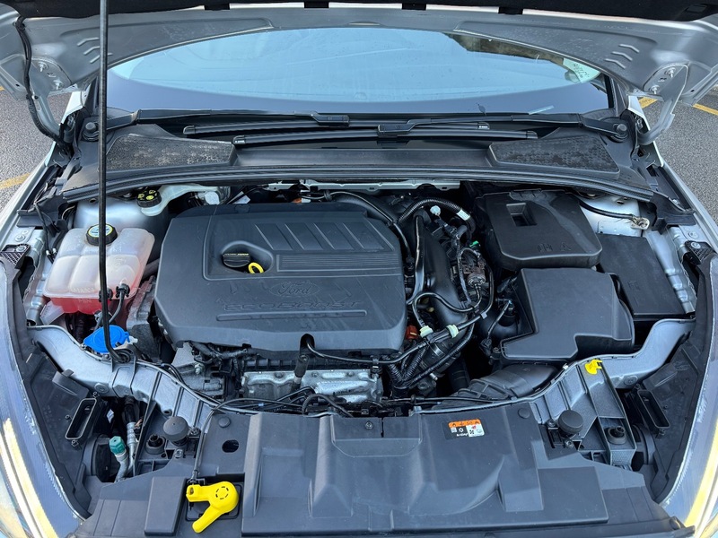 Used Ford Focus 2017 for sale - 76962909: Photo 13