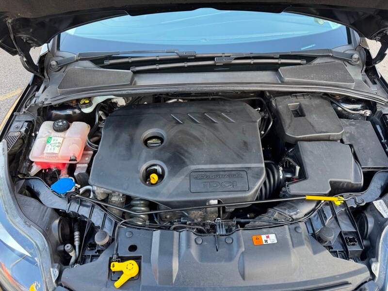 Used Ford Focus 2012 for sale - 77891455: Photo 36