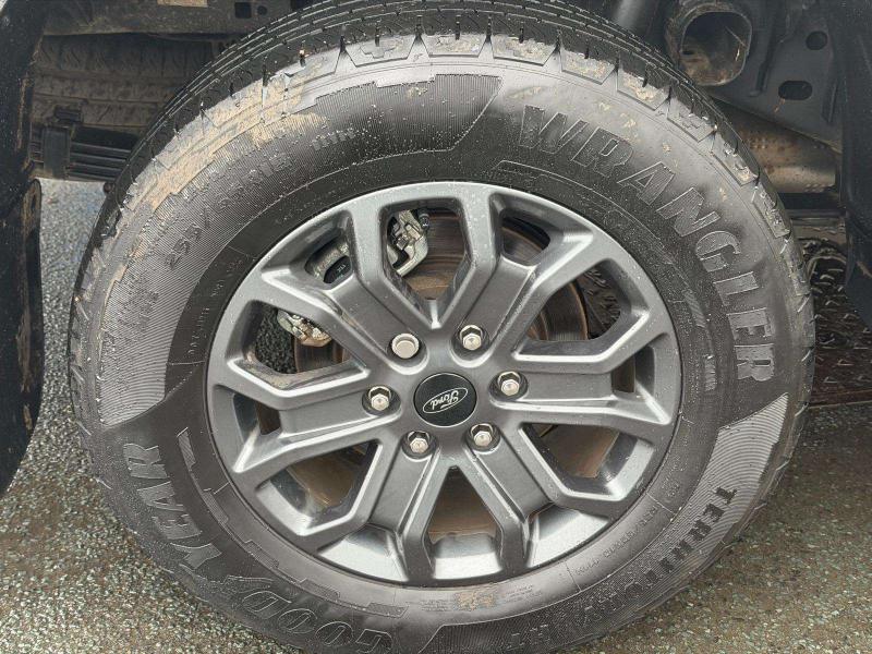 Used Ford Ranger 2024 for sale - 77505664: Photo 12