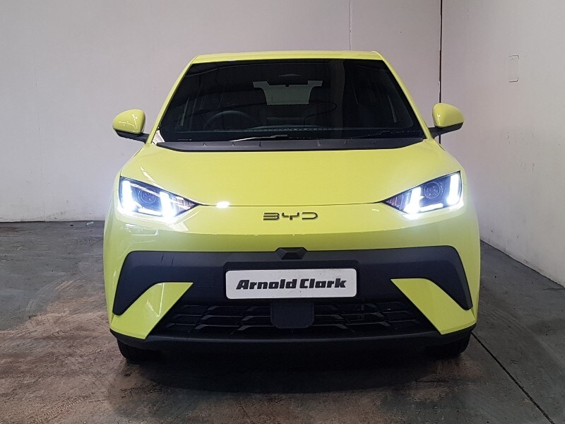 Used BYD Dolphin 2026 for sale - 77689828: Photo 12