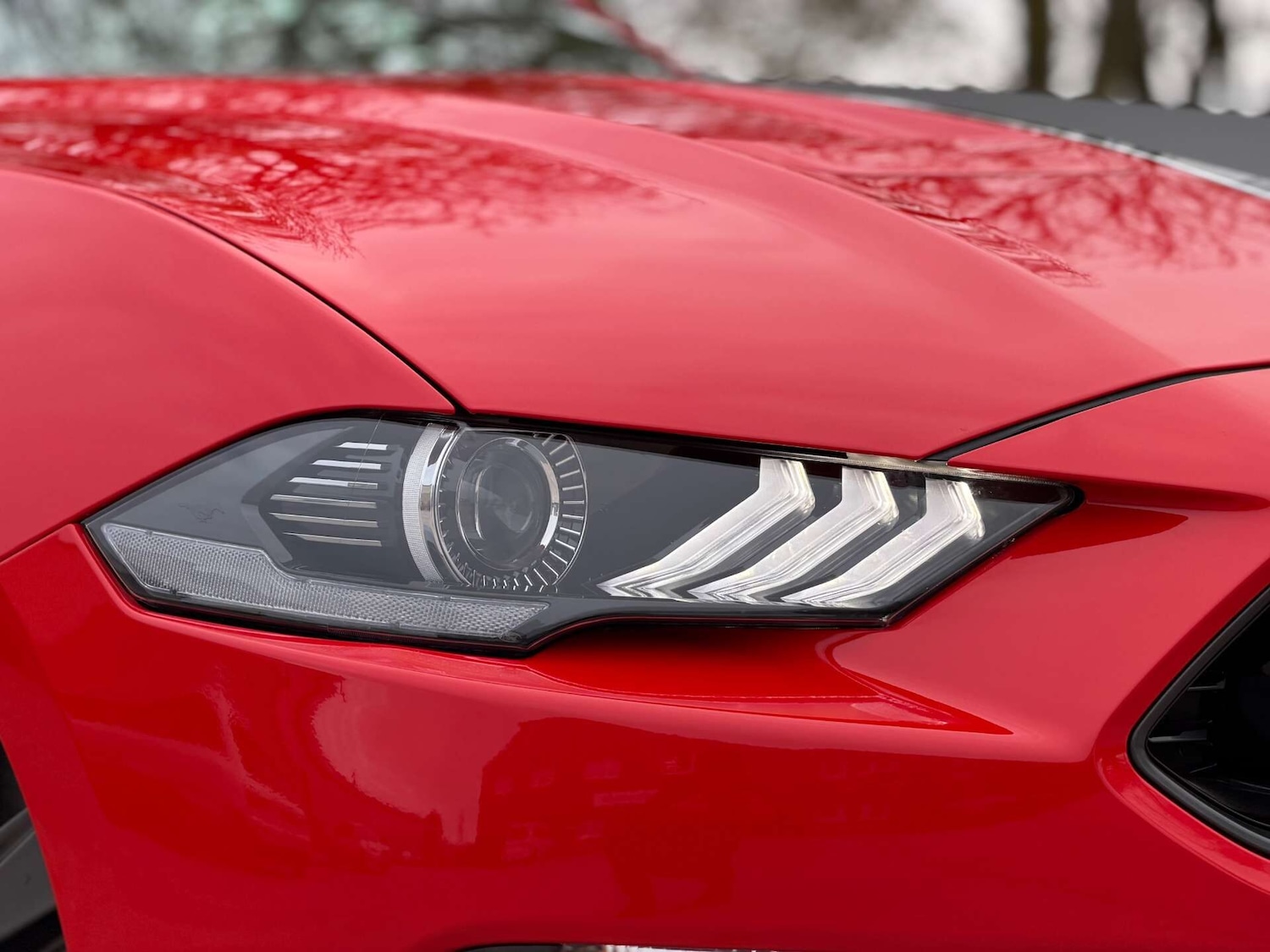 Used Ford Mustang 2022 for sale - 76977269: Photo 31