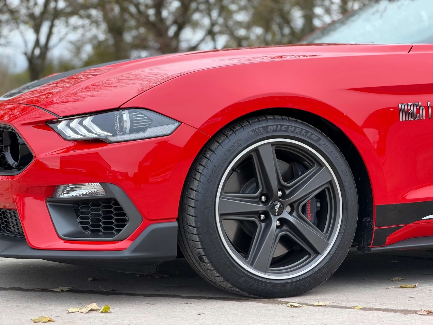 Used Ford Mustang 2022 for sale - 76977269: Photo 38