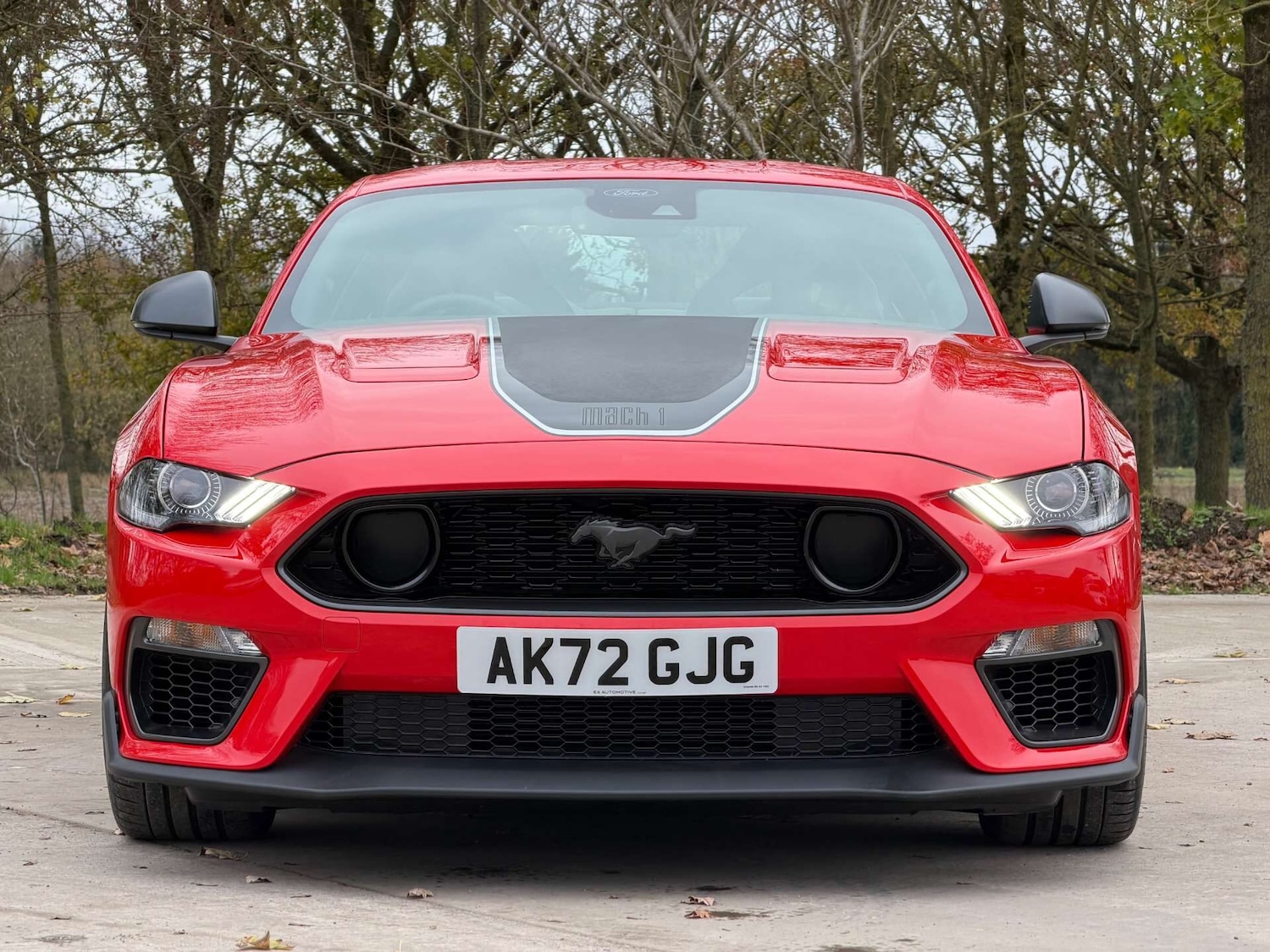 Used Ford Mustang 2022 for sale - 76977269: Photo 43