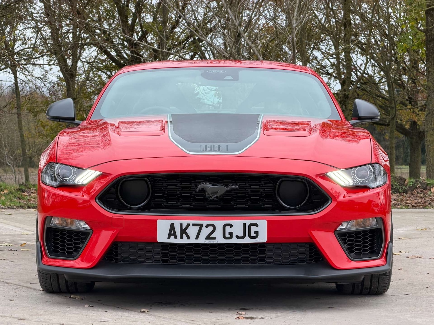 Used Ford Mustang 2022 for sale - 76977269: Photo 44