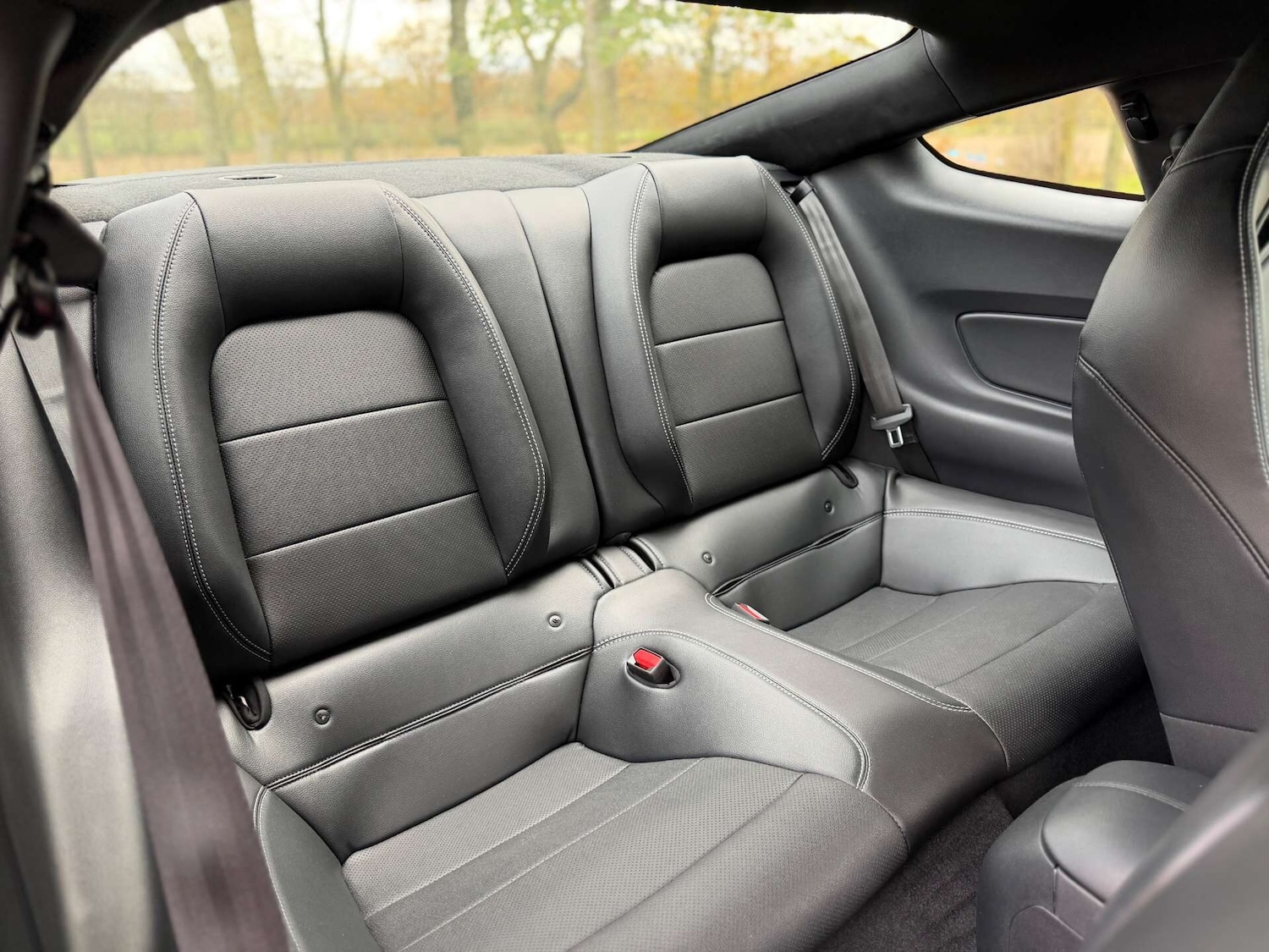 Used Ford Mustang 2022 for sale - 76977269: Photo 8