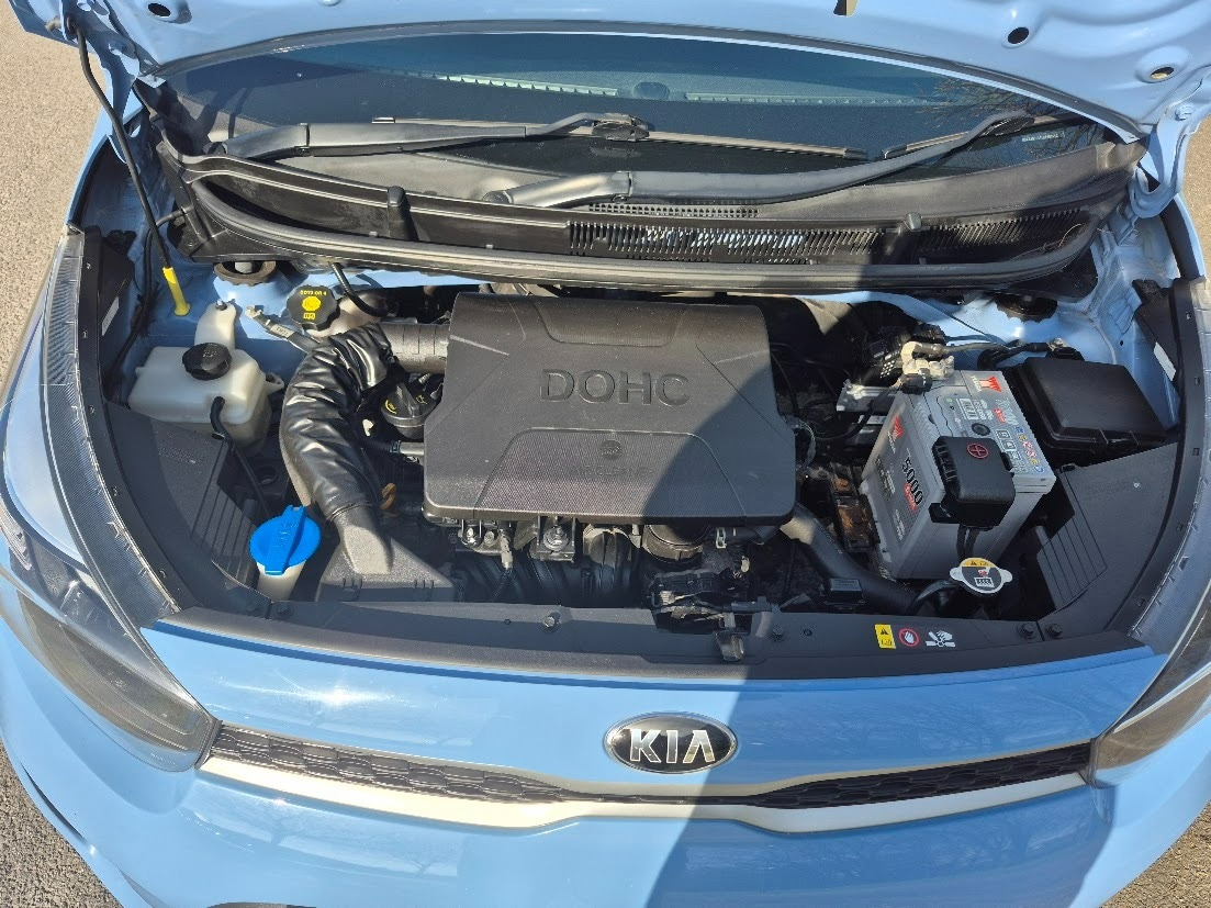 Used Kia Picanto 2019 for sale - 77136650: Photo 22