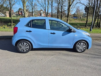 Used Kia Picanto 2019 for sale - 77136650: Photo