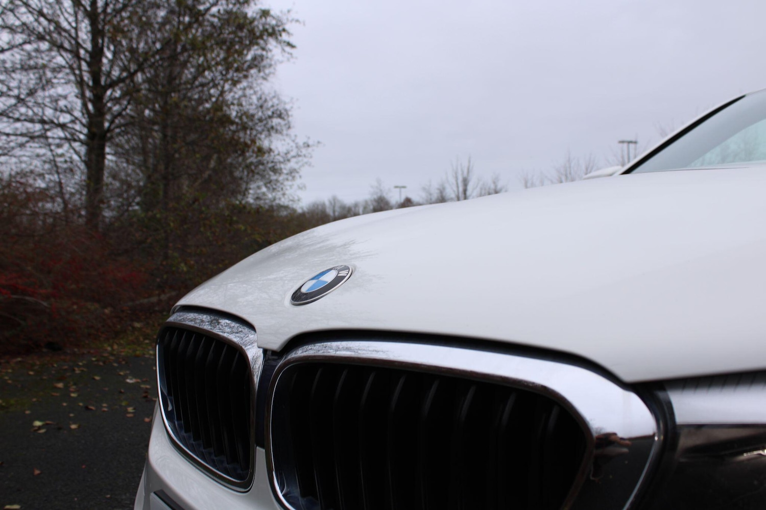 Used BMW 5 Series 2019 for sale - 77144112: Photo 12