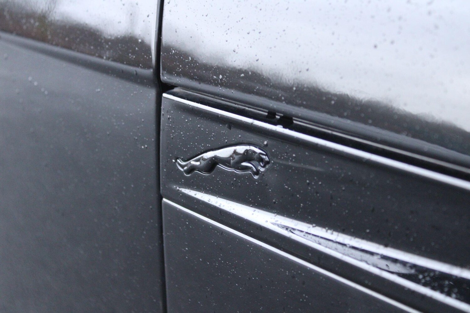 Used Jaguar F-Type for sale - 77456308: Photo 28