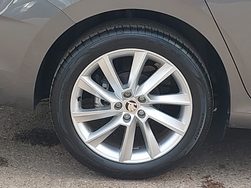 Used Skoda Scala 2024 for sale - 77815754: Photo 14