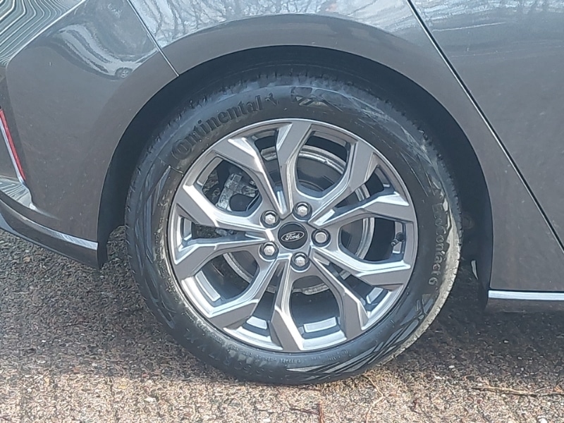 Used Ford Focus 2024 for sale - 77352747: Photo 14