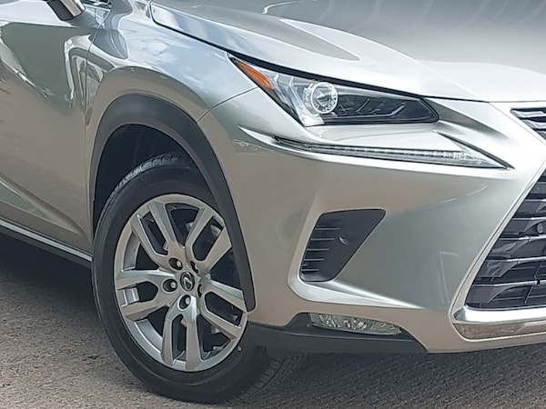 Used Lexus NX 2020 for sale - 76053536: Photo 9