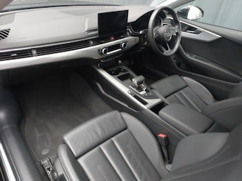 Used Audi A5 2023 for sale - 77999627: Photo