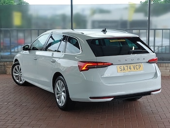 Used Skoda Octavia 2024 for sale - 75049768: Photo