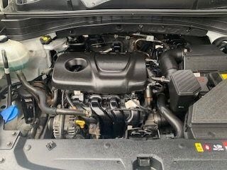 Used Kia Sportage 2019 for sale - 77641038: Photo 20