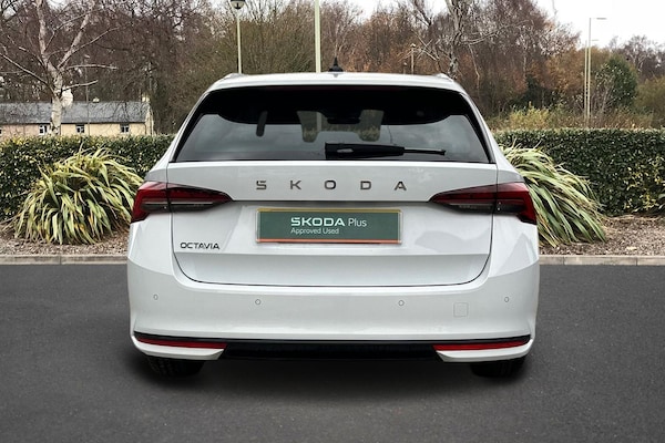 Used Skoda Octavia 2025 for sale - 76250956: Photo 7