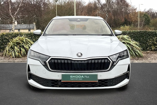Used Skoda Octavia 2025 for sale - 76250956: Photo 8