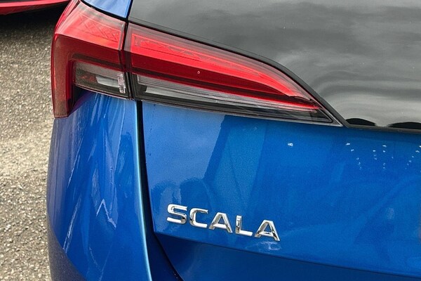 Used Skoda Scala 2024 for sale - 75519227: Photo 19