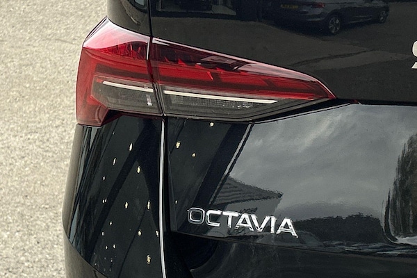 Used Skoda Octavia 2025 for sale - 76251424: Photo 19