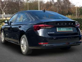 Used Skoda Octavia 2020 for sale - 75458923: Photo