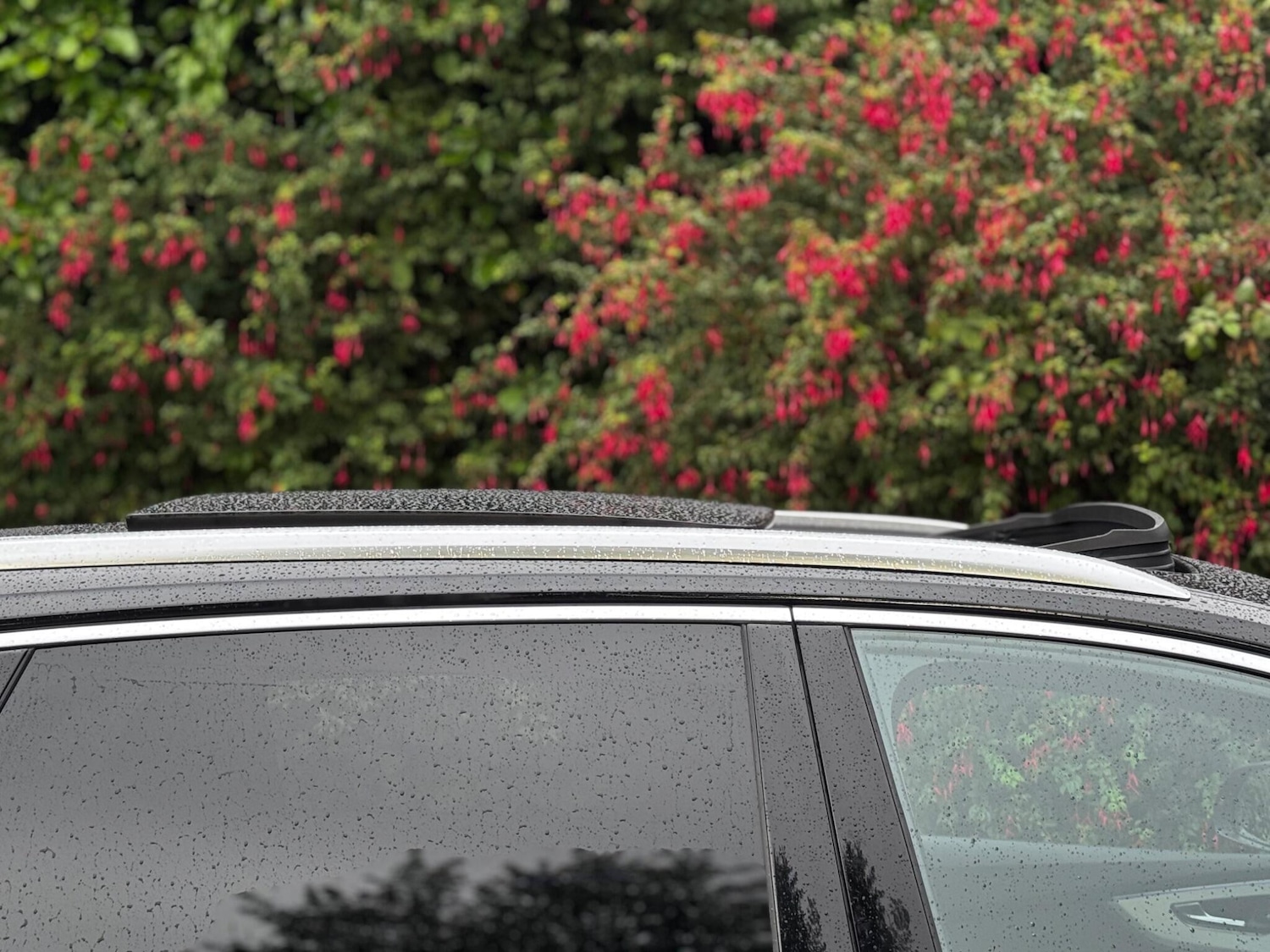 Used Audi Q7 2020 for sale - 76766611: Photo 83