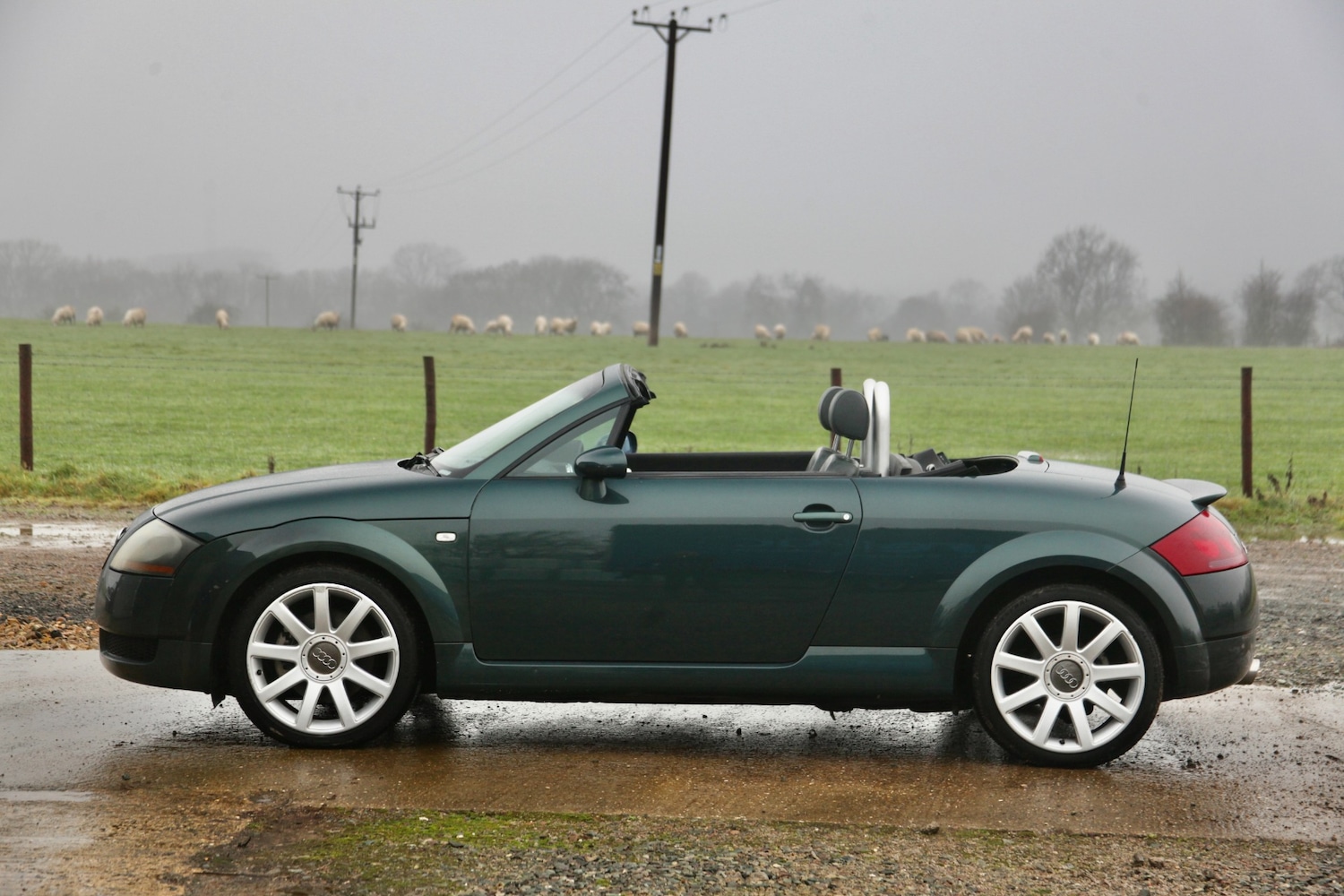 Used Audi TT 2001 for sale - 77516551: Photo 4