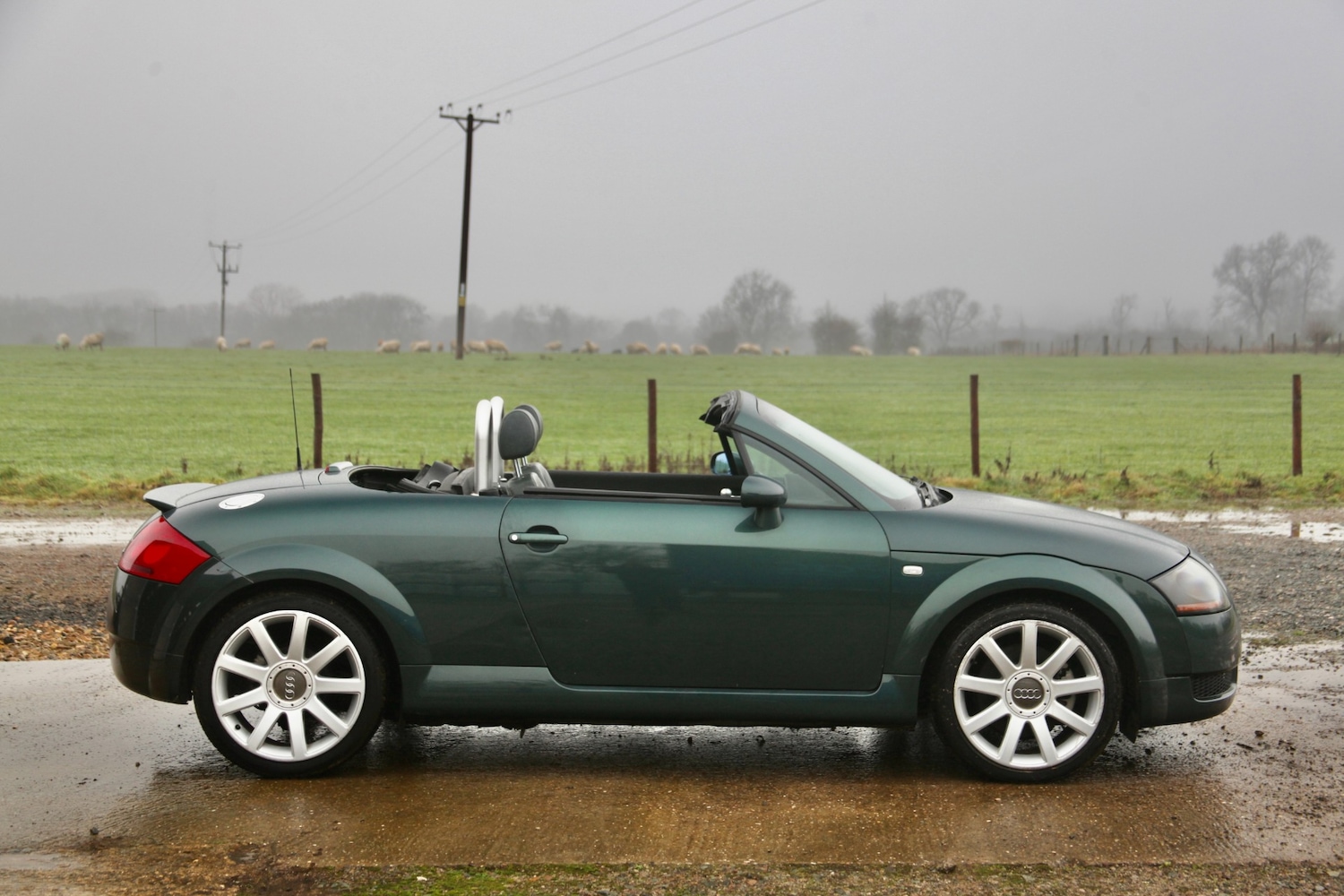 Used Audi TT 2001 for sale - 77516551: Photo 5