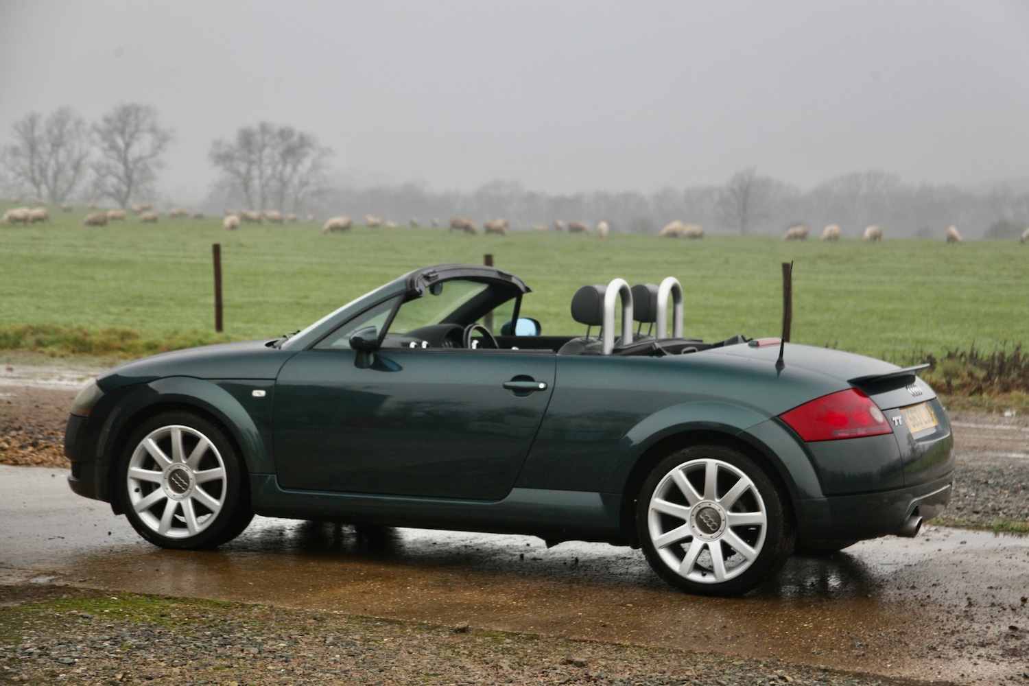 Used Audi TT 2001 for sale - 77516551: Photo 7