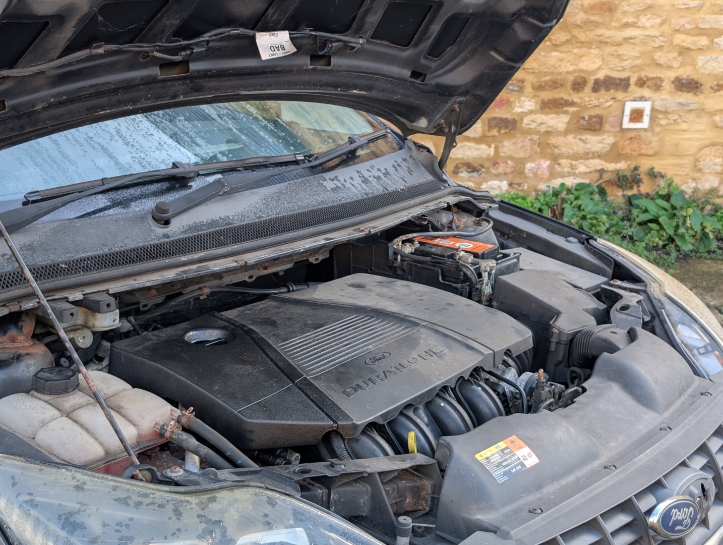 Used Ford Focus 2009 for sale - 76566353: Photo 13