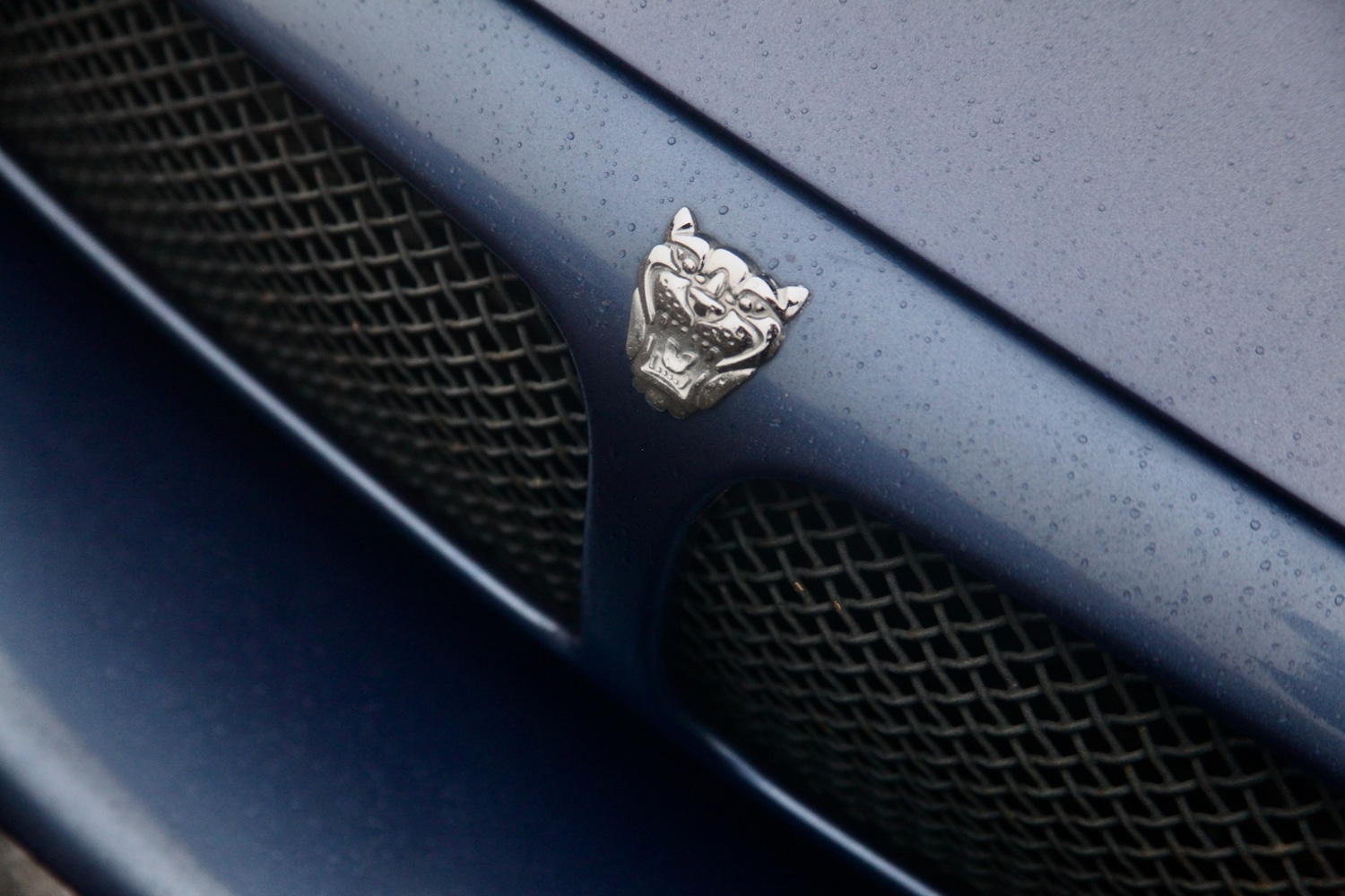 Used Jaguar X-Type 2003 for sale - 77517411: Photo 10