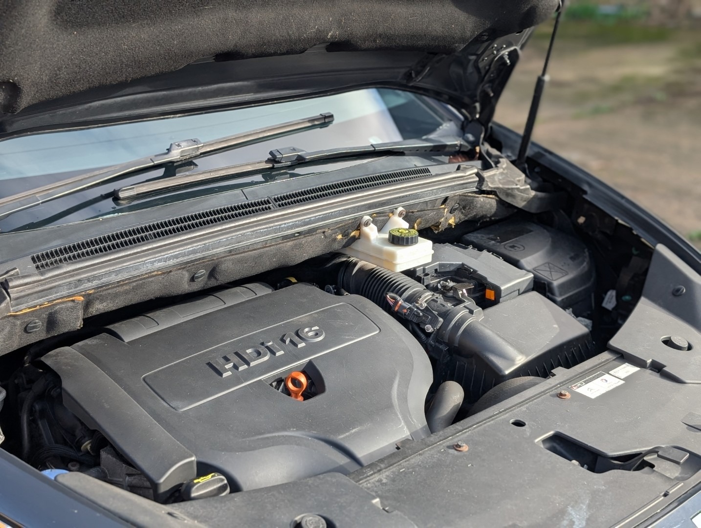 Used Citroen DS5 2014 for sale - 76566370: Photo 12