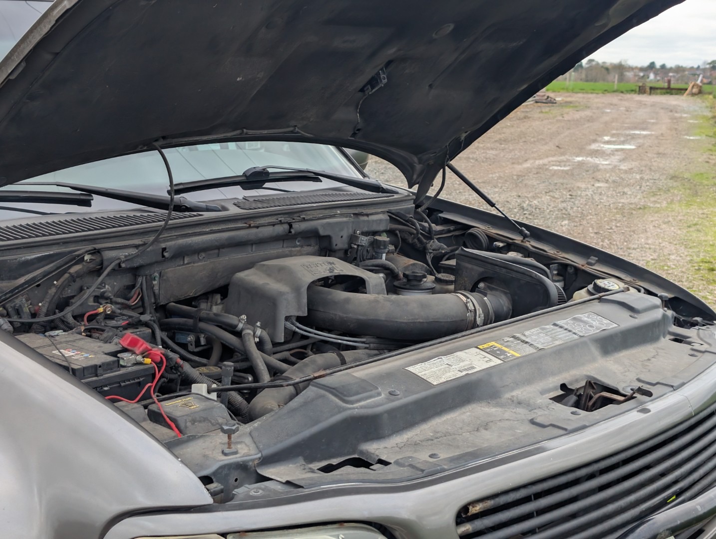 Used Ford F150 2003 for sale - 76479934: Photo 37