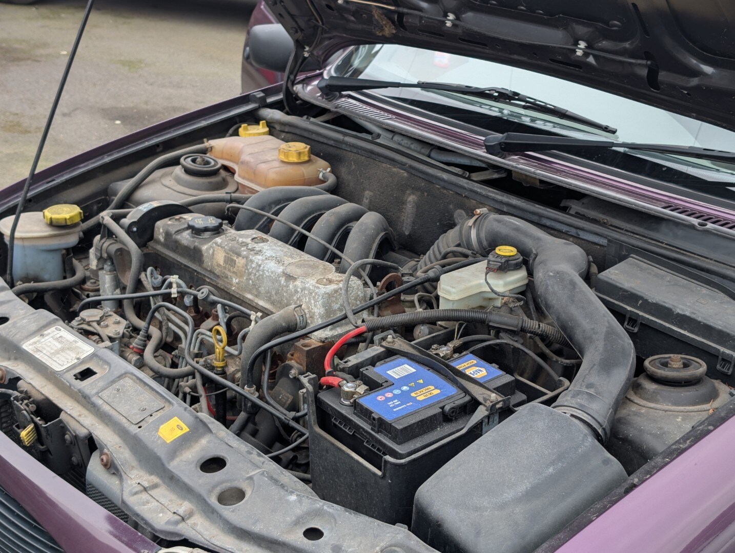 Used Ford Fiesta 1999 for sale - 77915295: Photo 18