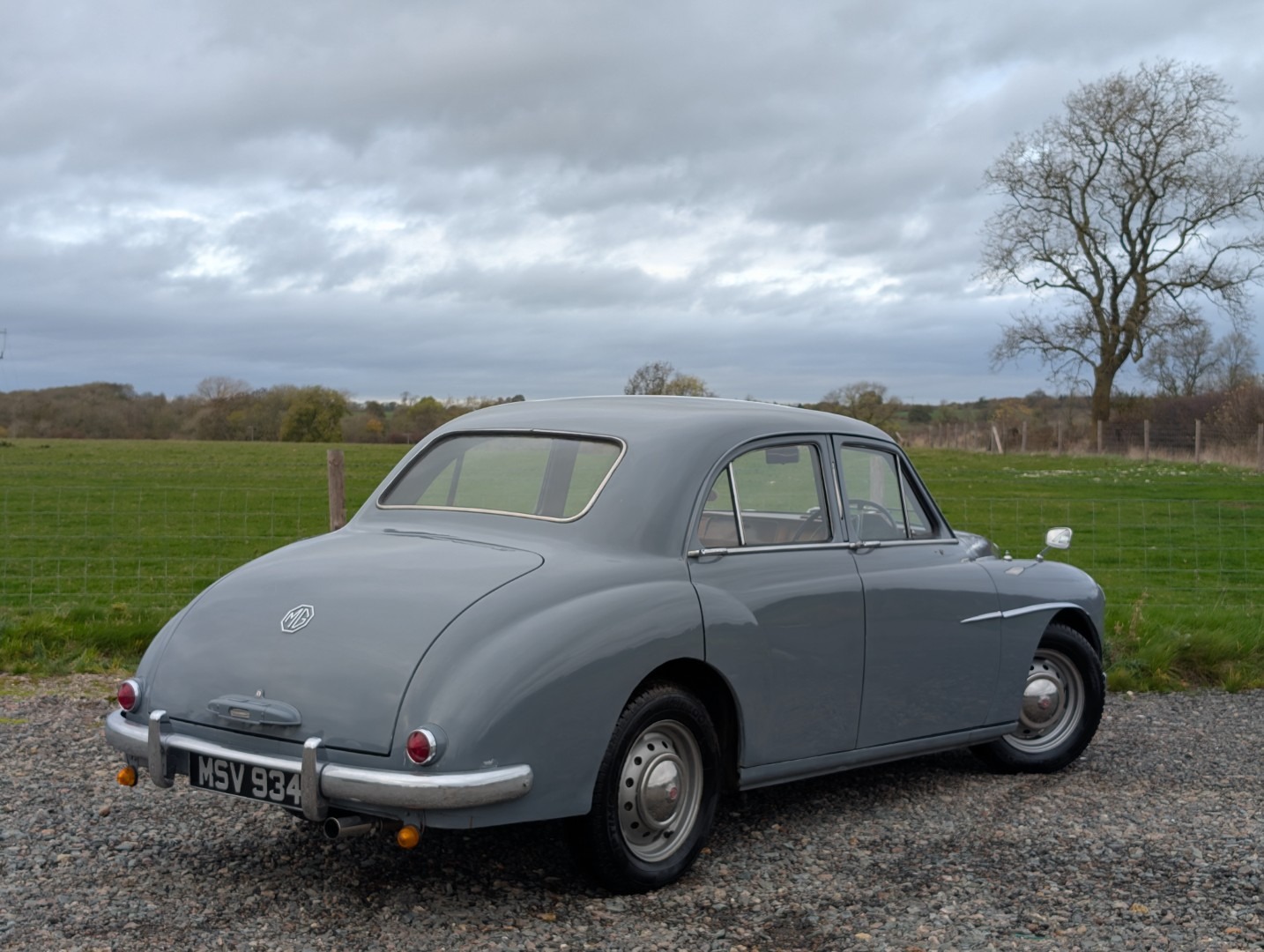 Used MG Magnette 1956 for sale - 76476984: Photo 8