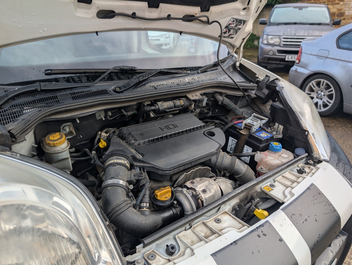 Used Citroen Nemo 2016 for sale - 76854869: Photo 14