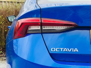 Used Skoda Octavia 2023 for sale - 77610664: Photo