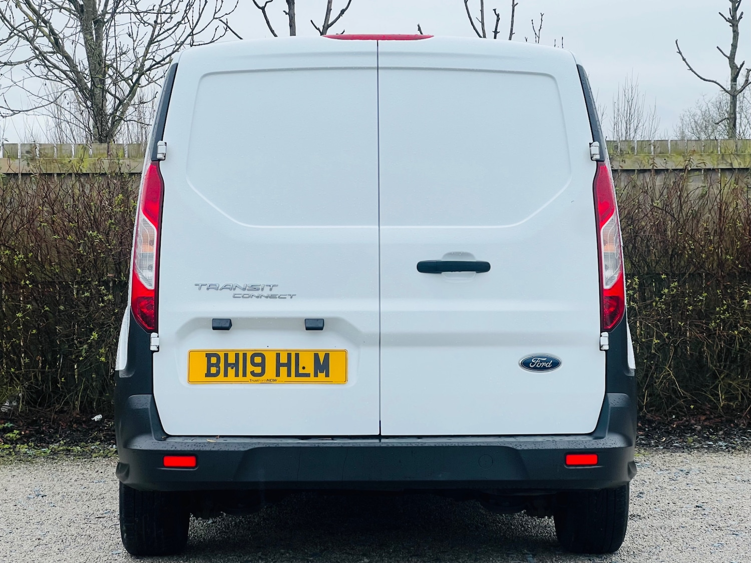 Used Ford Transit Connect 2019 for sale - 77618947: Photo 8