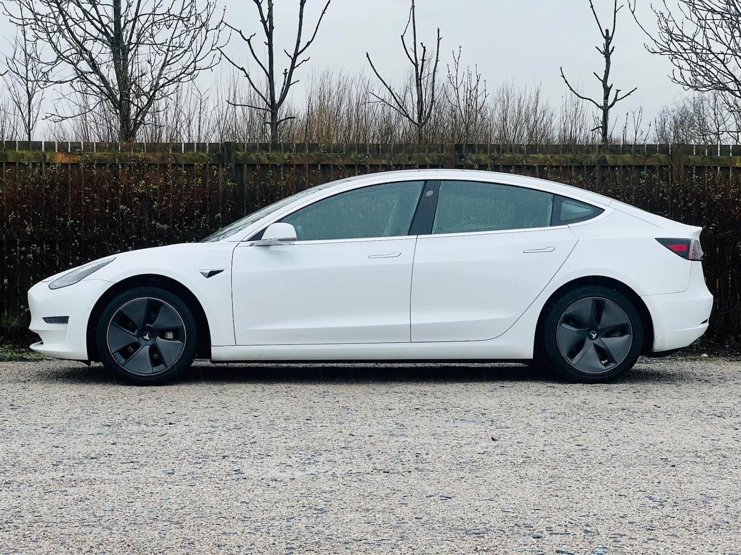 Used Tesla Model 3 2019 for sale - 77469442: Photo 11