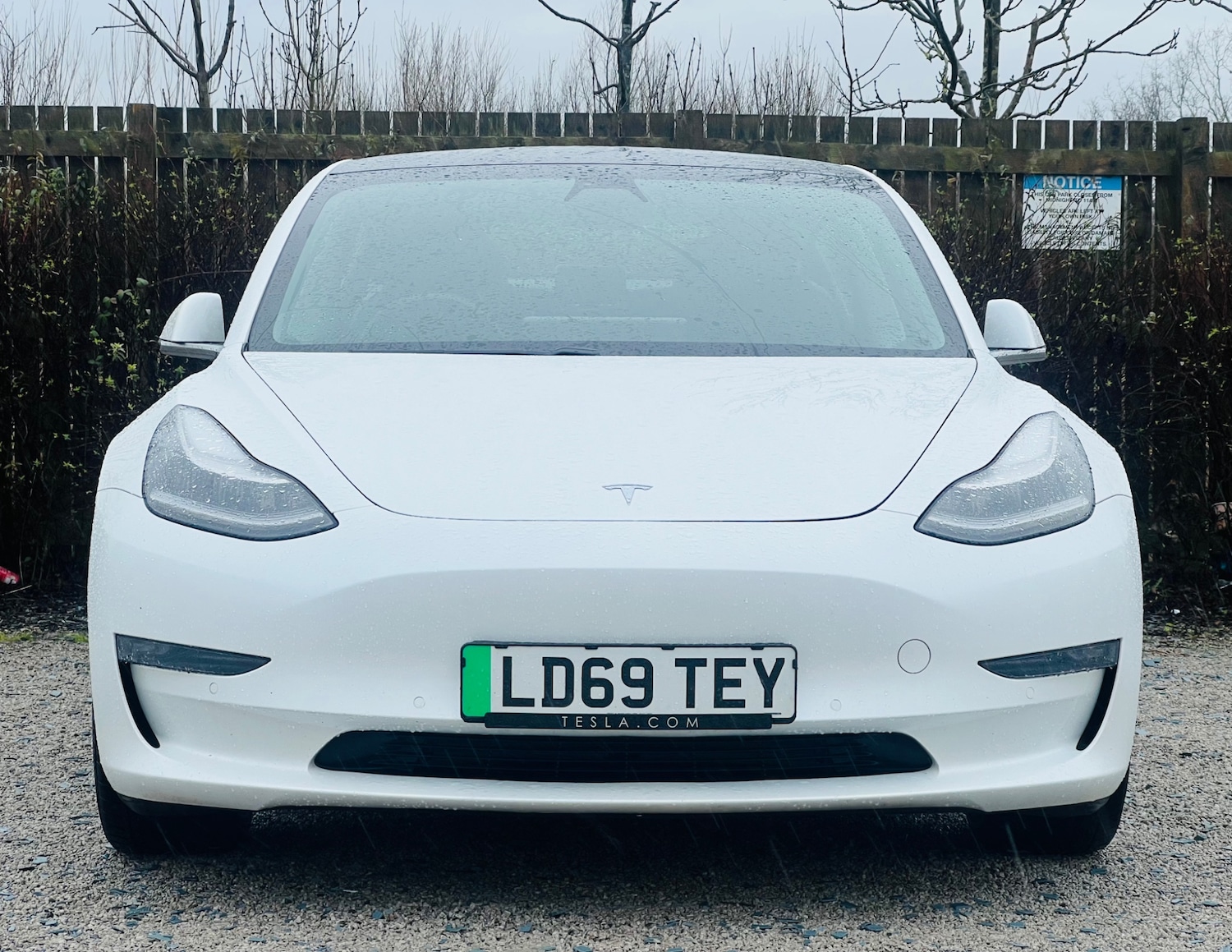 Used Tesla Model 3 2019 for sale - 77469442: Photo 4