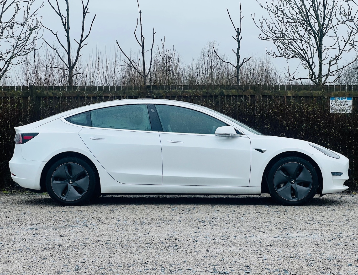 Used Tesla Model 3 2019 for sale - 77469442: Photo 6