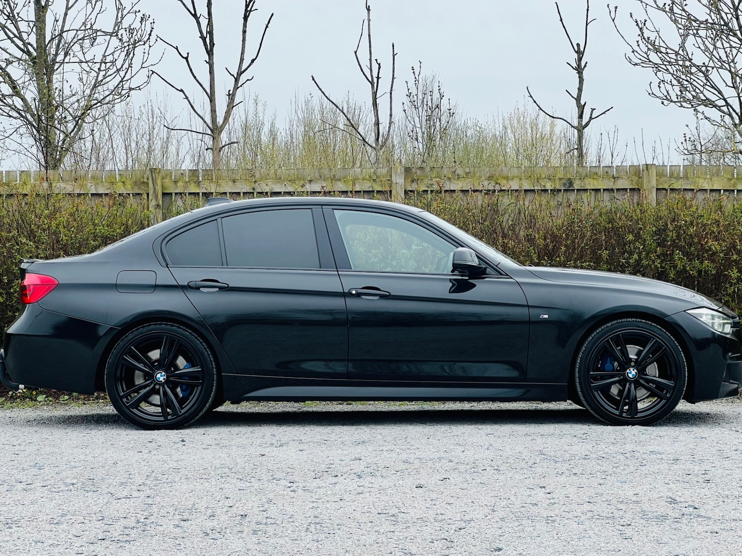 Used BMW 3 Series 2016 for sale - 78010987: Photo 4