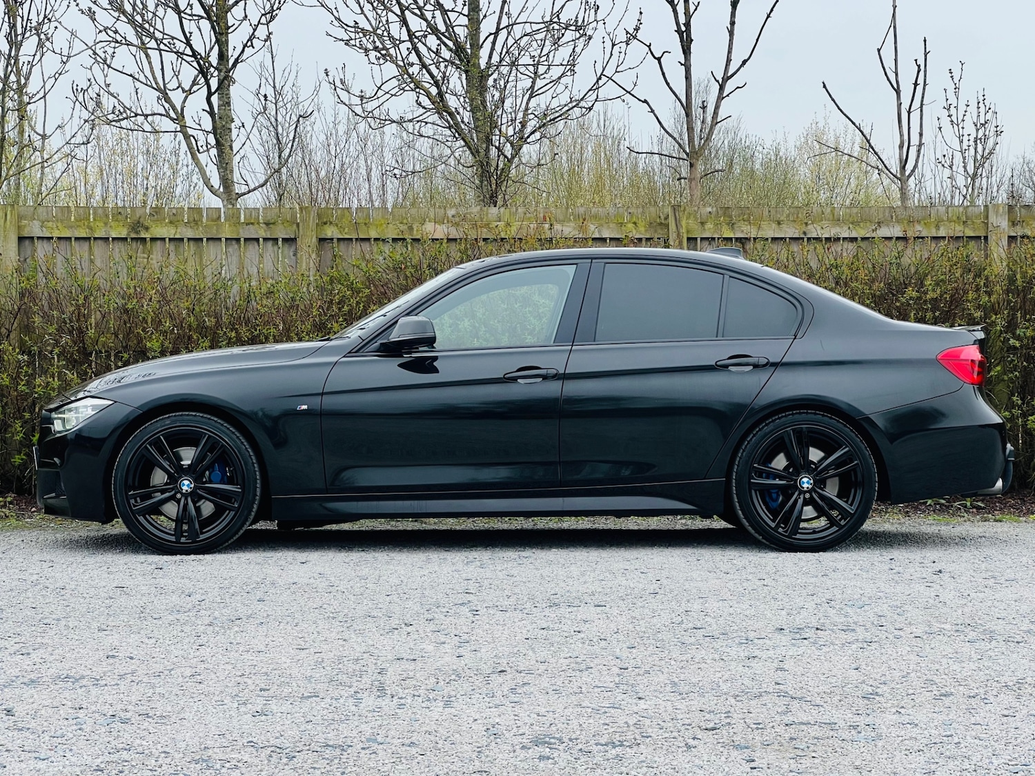 Used BMW 3 Series 2016 for sale - 78010987: Photo 8