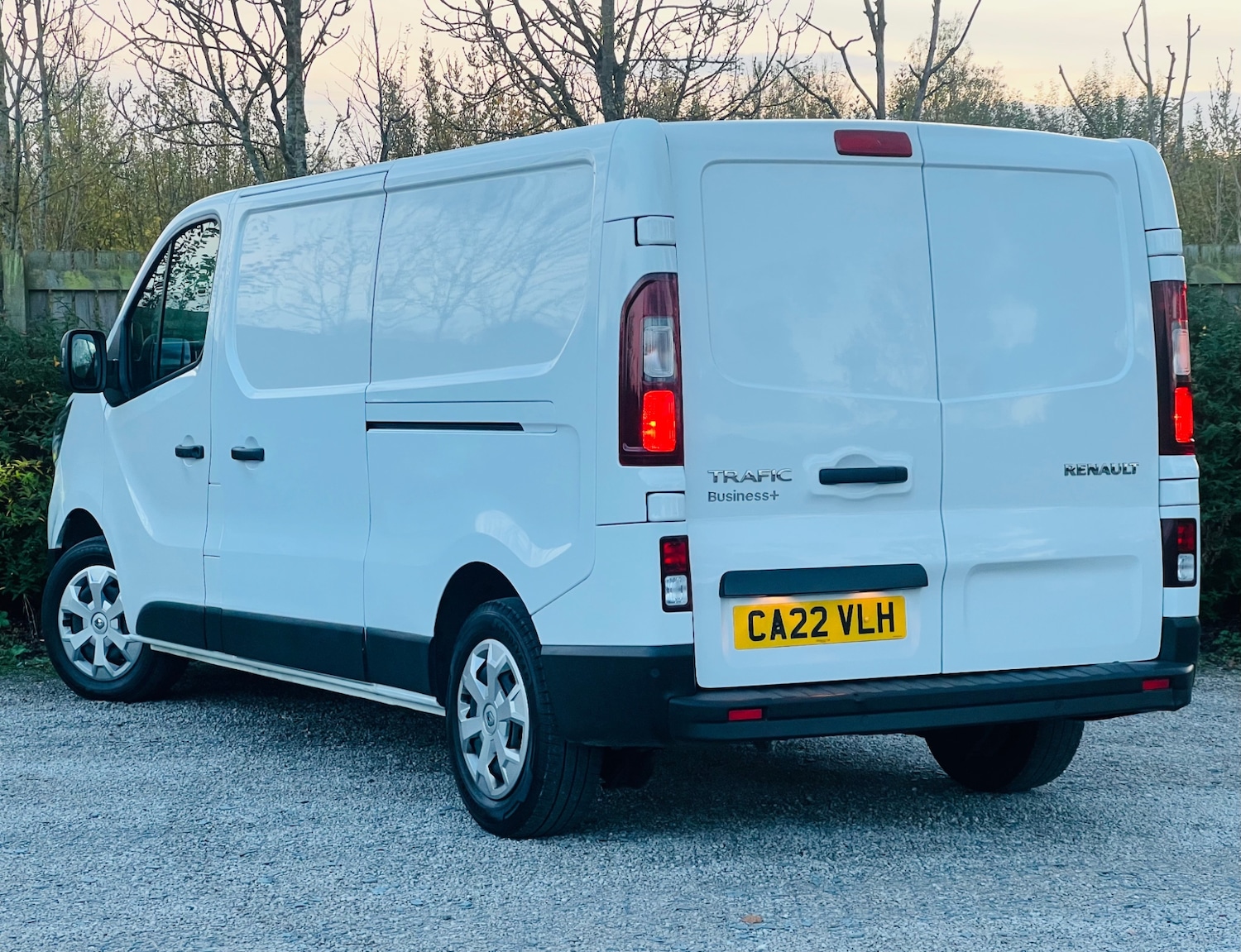 Used Renault Trafic 2022 for sale - 76570828: Photo 11