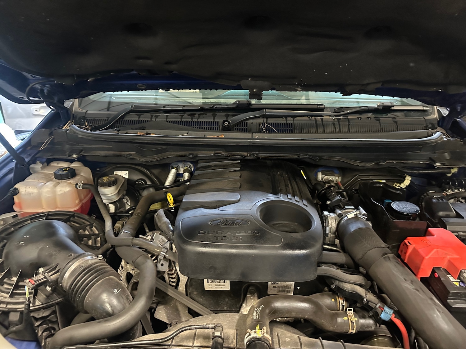 Used Ford Ranger 2018 for sale - 77618943: Photo 10